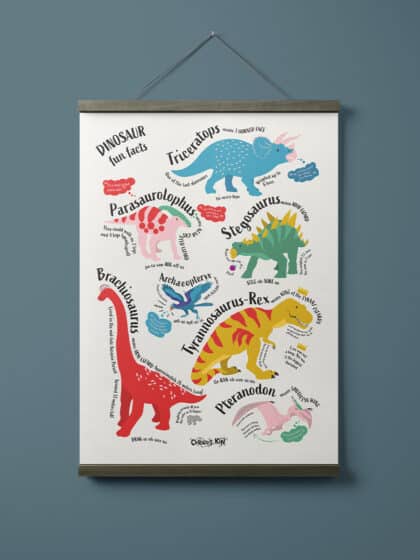 Brightly illustrated dino fun facts poster featuring triceratops, parasaurolophus, stegosaurus, archaeopteryx, brachiosaurus, t-rex and pteranadon, with name meaning, how to say name and more by Curious Kin