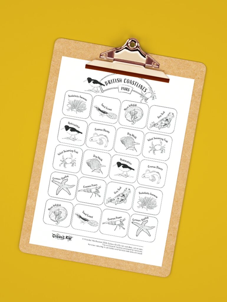 Clipboard with Curious Kin British coastline animals pairs game printable page attached to it