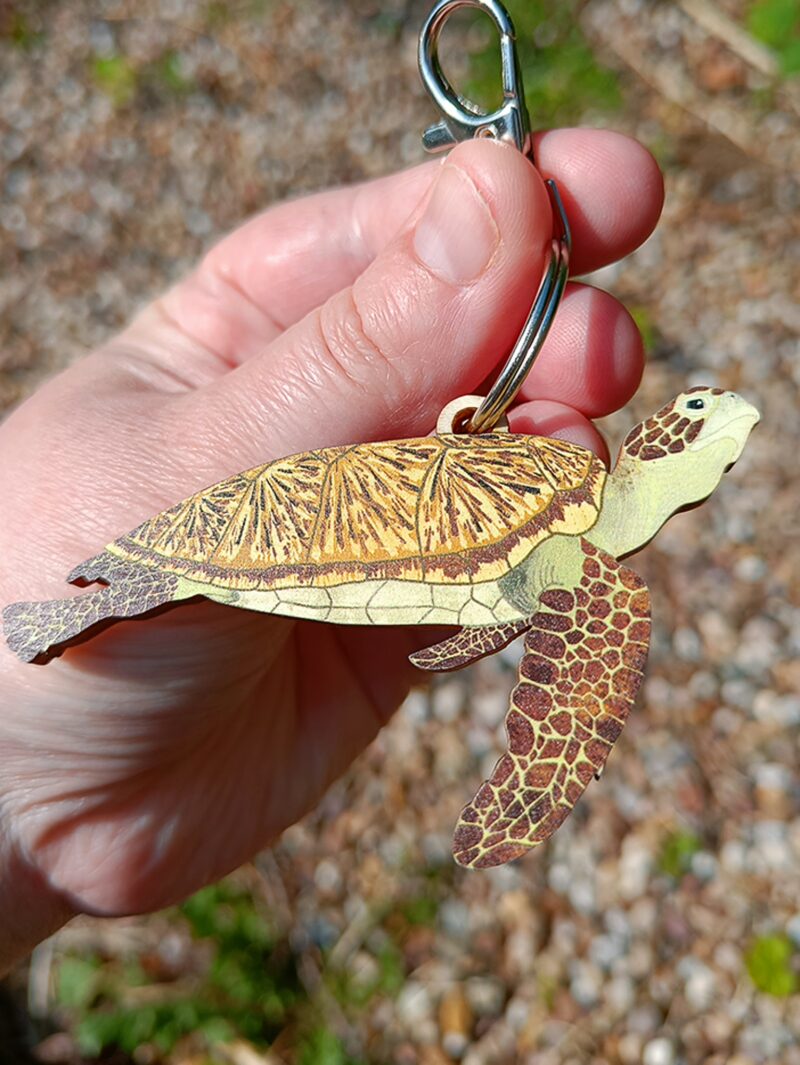 Illustrated uv printed wooden green sea turtle keyring with easy to attach clasp.