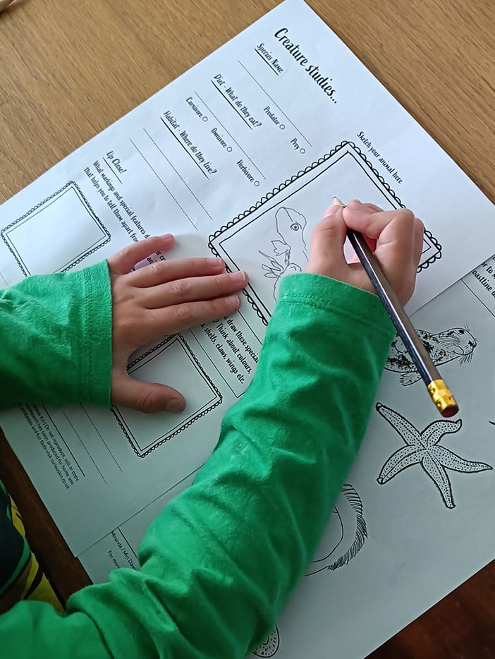 Curious Kin creature studies worksheet with child filling it in
