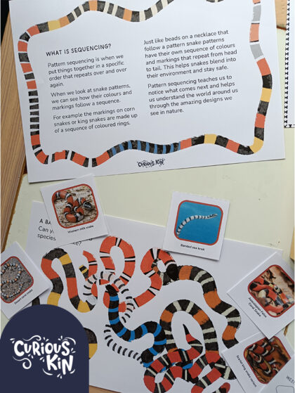 Curious about patterns in snakes | Art and science study unit