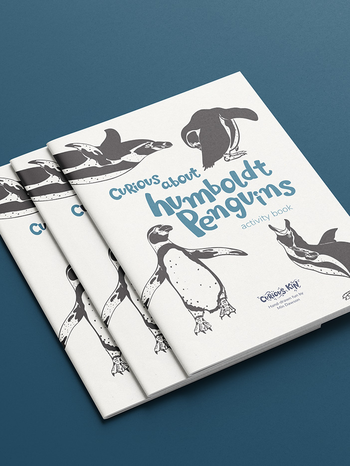 Front cover of Curious Kin's curious about humboldt penguins activty book