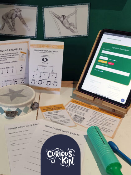 Drum like a chimp | Animal behaviour and music study unit