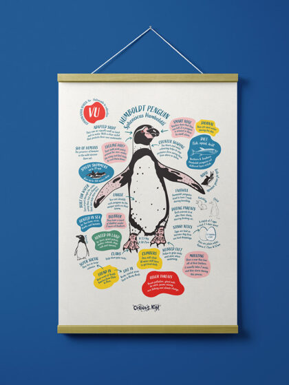 curious about humboldt penguin fun fact print