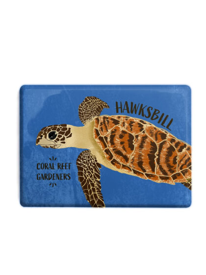 Illustrated rectangular magnet of a hawksbill sea turtle by Curious Kin