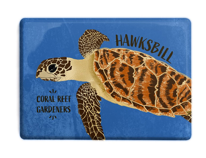 CuriousKn_magnet_seaturtle_hawksbill copy