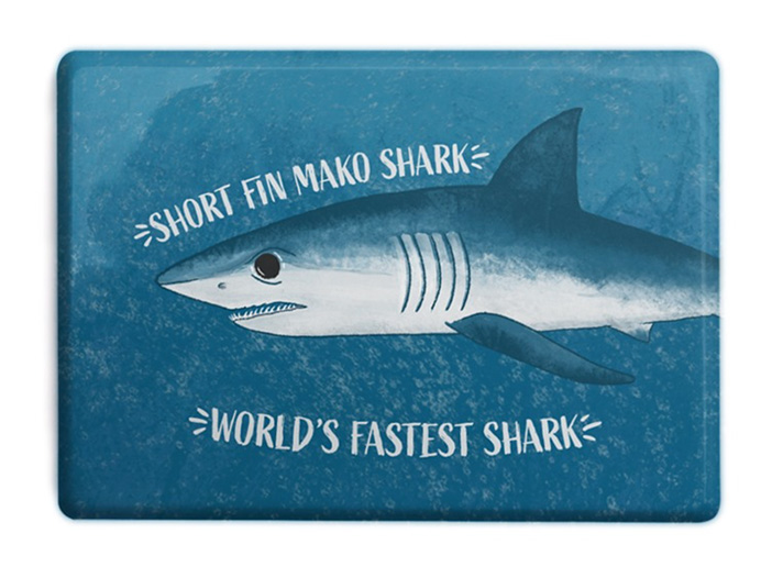 CuriousKn_magnet_shark_shortfinmakpss