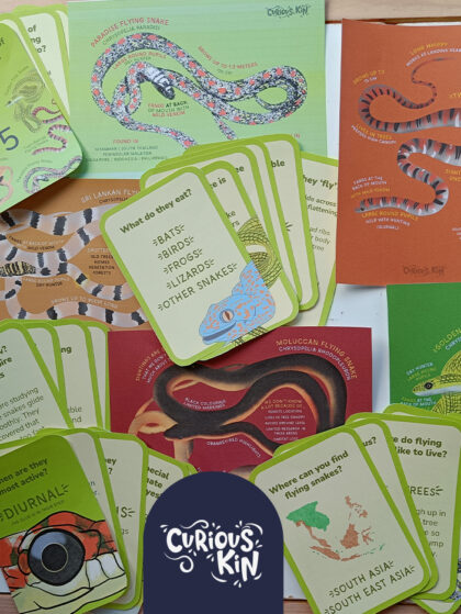 Curious about Flying Snakes | Discovery Deck
