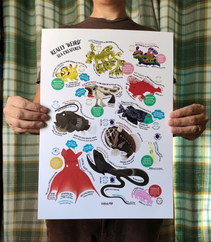 Illustrated fun facts poster of really weird sea creatures including vampire squid, whiptail gulper eel, barrelyeye fish, fangtooth fish, anglerfish, red lipped batfish, frogfish, leafy sea dragon sea slug. A3 size