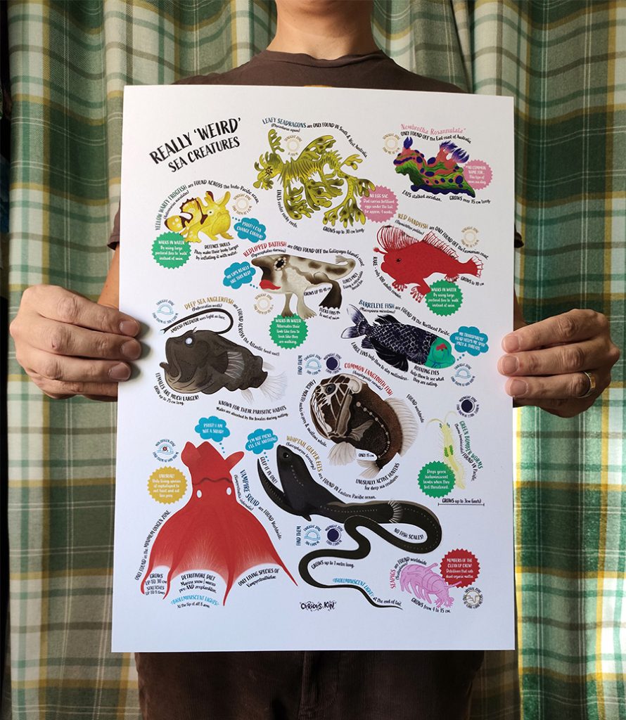 Illustrated fun facts poster of really weird sea creatures including vampire squid, whiptail gulper eel, barrelyeye fish, fangtooth fish, anglerfish, red lipped batfish, frogfish, leafy sea dragon sea slug. A3 size