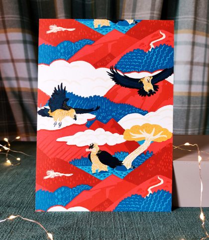 A5 print in bold blue, rust red and golden yellows featuring the bearded vulture in flight and resting.