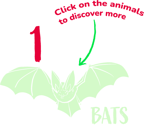 Glow green bat stamp with number 1 and Bats title. CTA click on the animals to discover more
