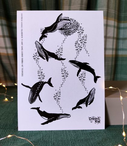 Black and white illustrated diagram of humpback whale bubble net feeding, A5