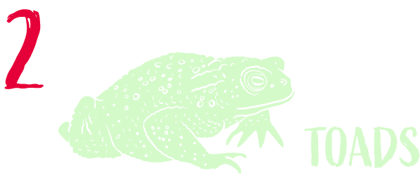 Number 2 glow green stamp toad art with title toads