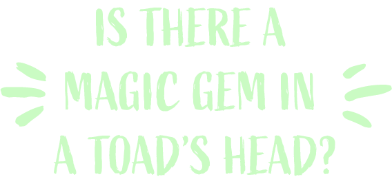 Is there a magic gem in a toad's head?