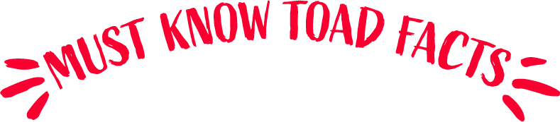 Must know toad facts
