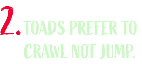 Toads prefer to crawl not jump