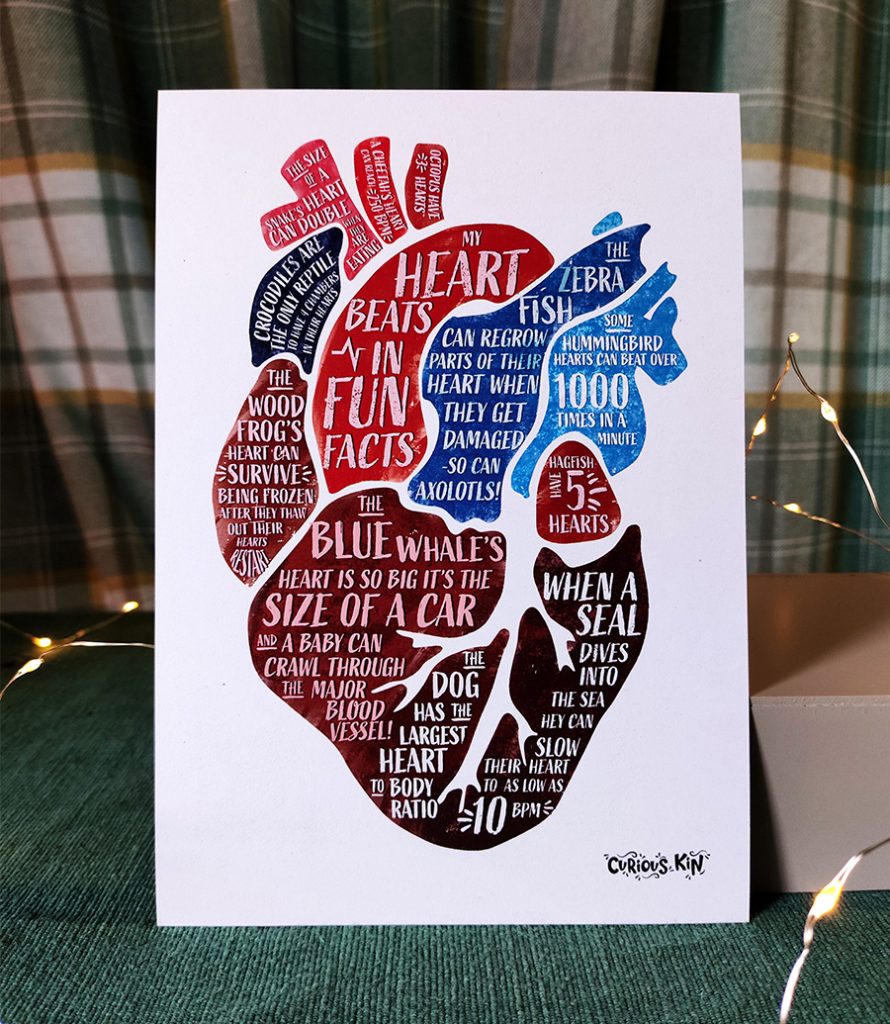 A5 print of an anatomical heart filled with animal heart fun facts