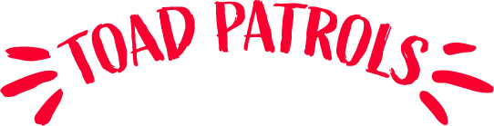 Toad Patrols