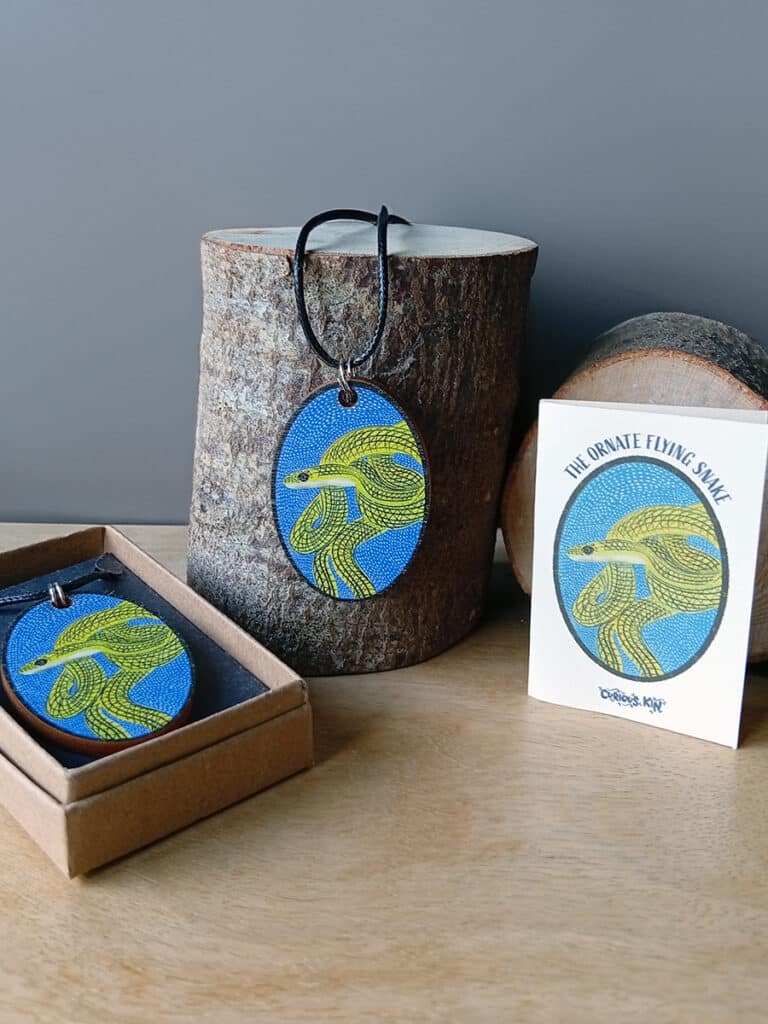 an oval wooden pendant with uv printed illustration of a ornate flying snake with waxed cotton cord, kraft jewellery box and mini fun fact card.