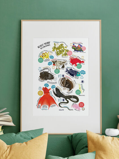 Really 'Weird' Sea Creatures: A3 Illustrated Fun Fact Print