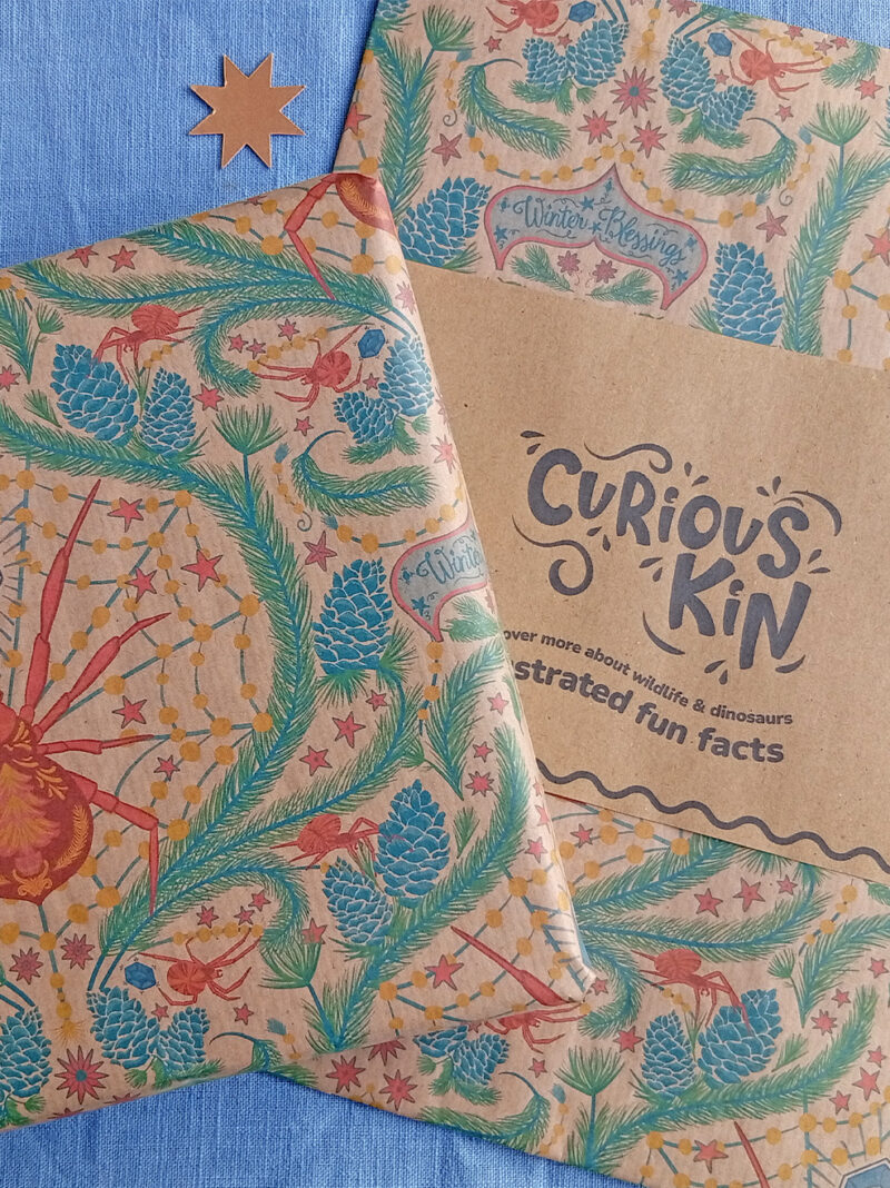 Christmas spider gift wrap illustrated by Curious Kin, printed by Planet wrap it