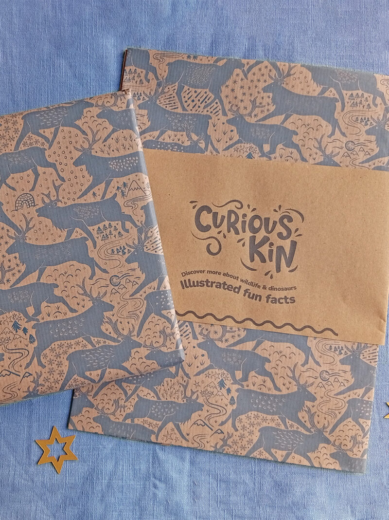 Recycled wrapping paper with reindeer pattern designed by Curious Kin