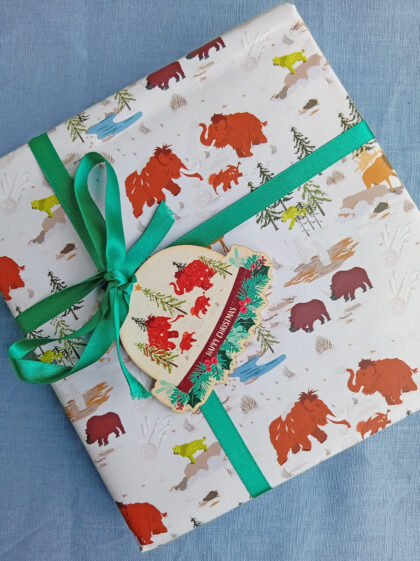 Ice age adventure gift wrap