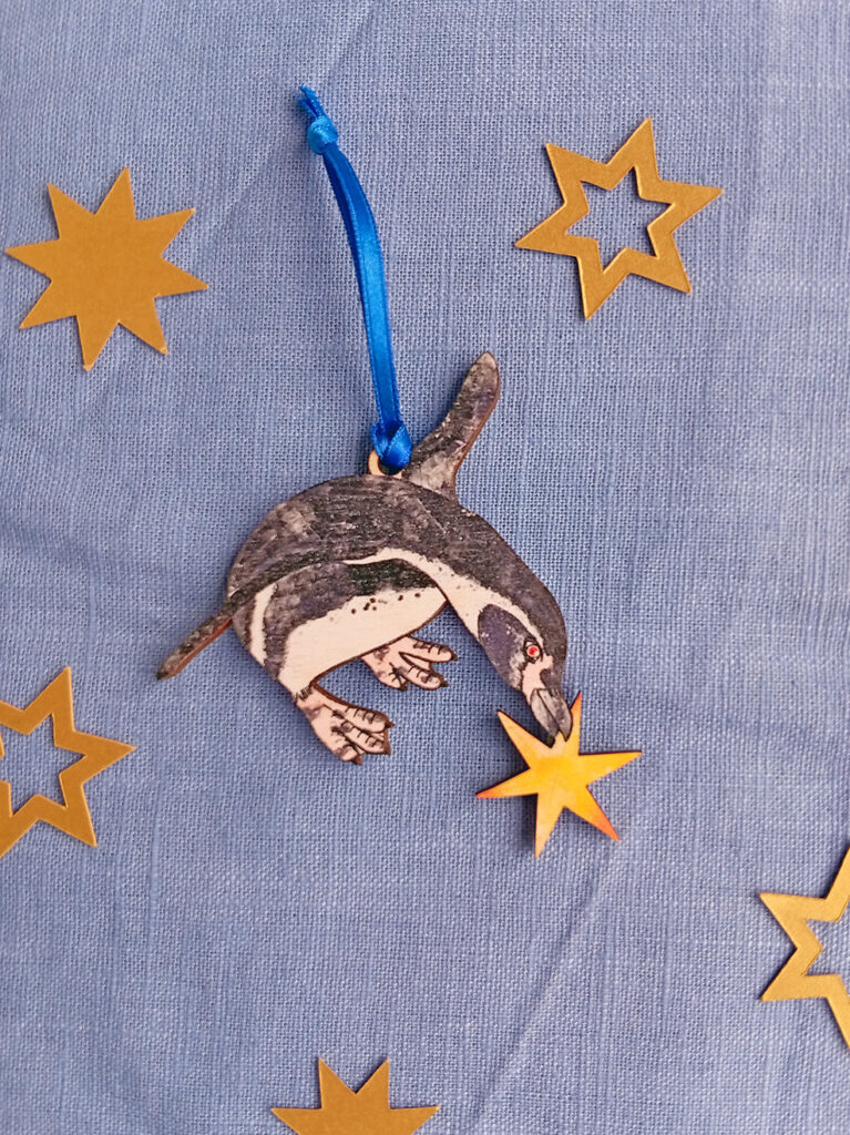 Wooden decoration of a humboldt penguin holding 6 point star with blue satin tie and gold card stars.