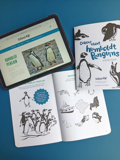 NEW + IMPROVED | Curious about penguins activity book