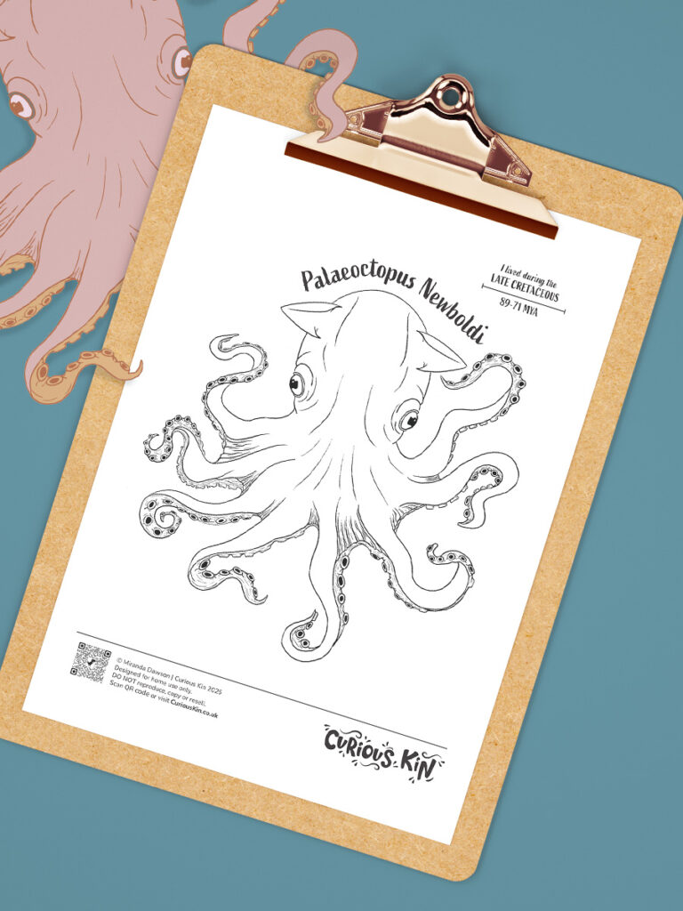 Clipboard with colouring sheet of palaeoctopus newboldi