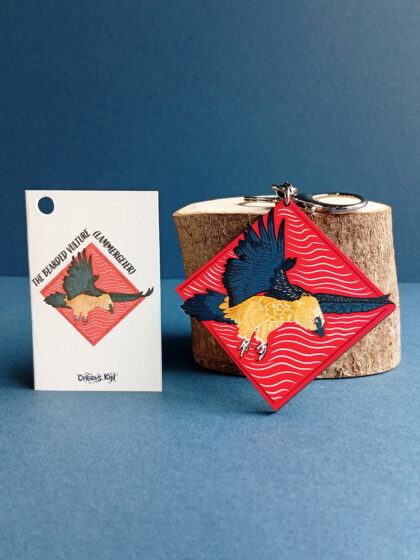 Diamond shaped keyring with bearded vulture artwork made from sustainably sourced wood with matching mini fun fact card