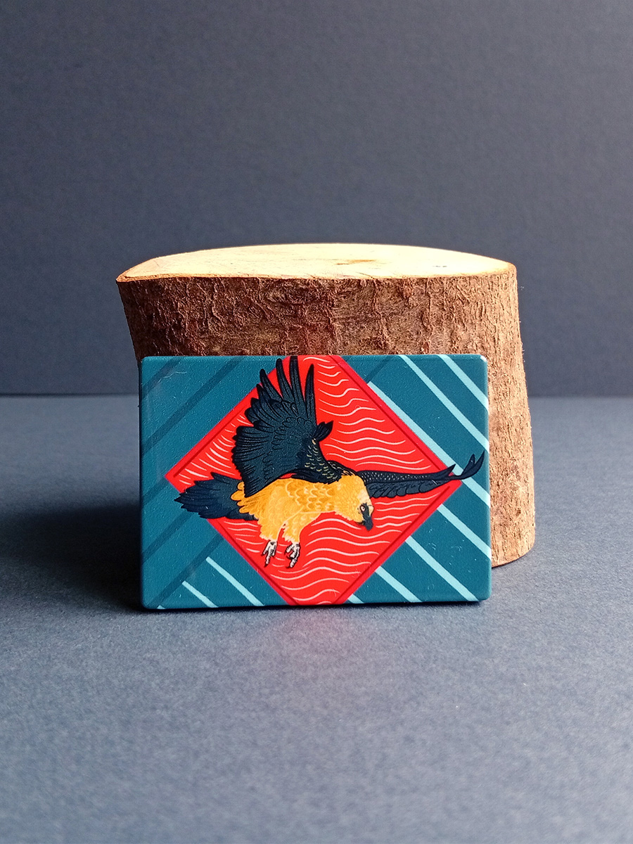 Rectangular illustrated bearded vulture magnet made from recycled plastic.