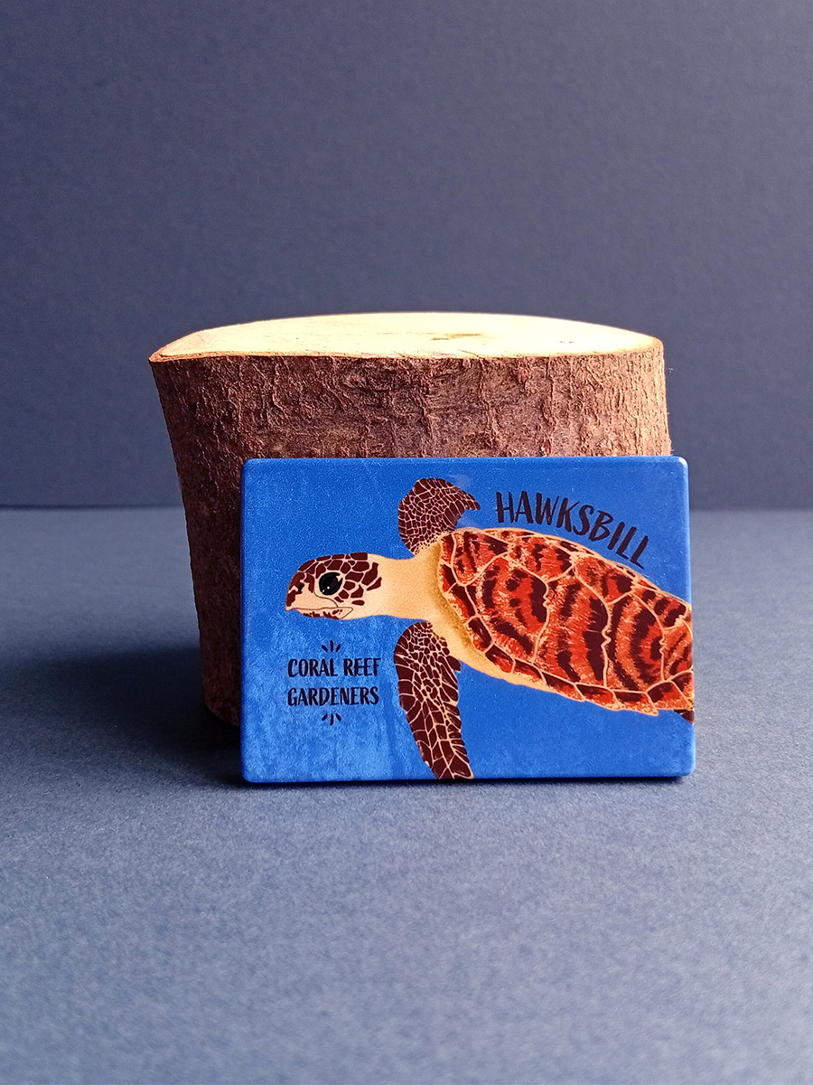 Hawksbill Sea Turtle rectangle recycled plastic magnet