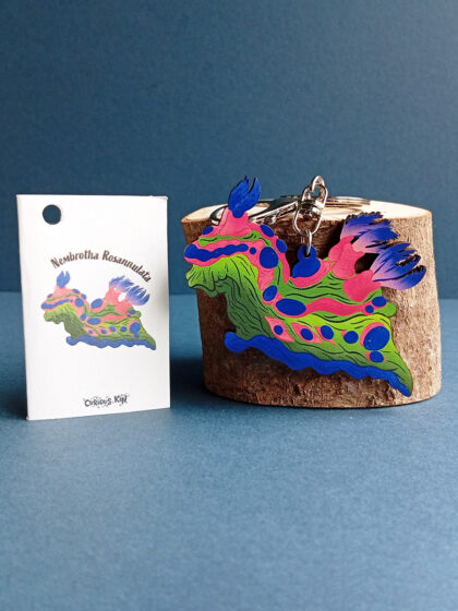 Sea slug Nudibrach shaped keyring made from sustainably sourced wood with matching mini fun fact card