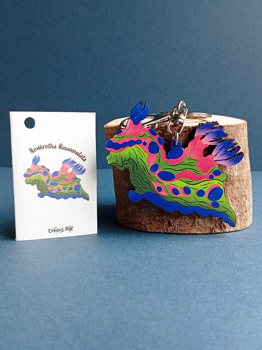 Sea slug Nudibrach shaped keyring made from sustainably sourced wood with matching mini fun fact card