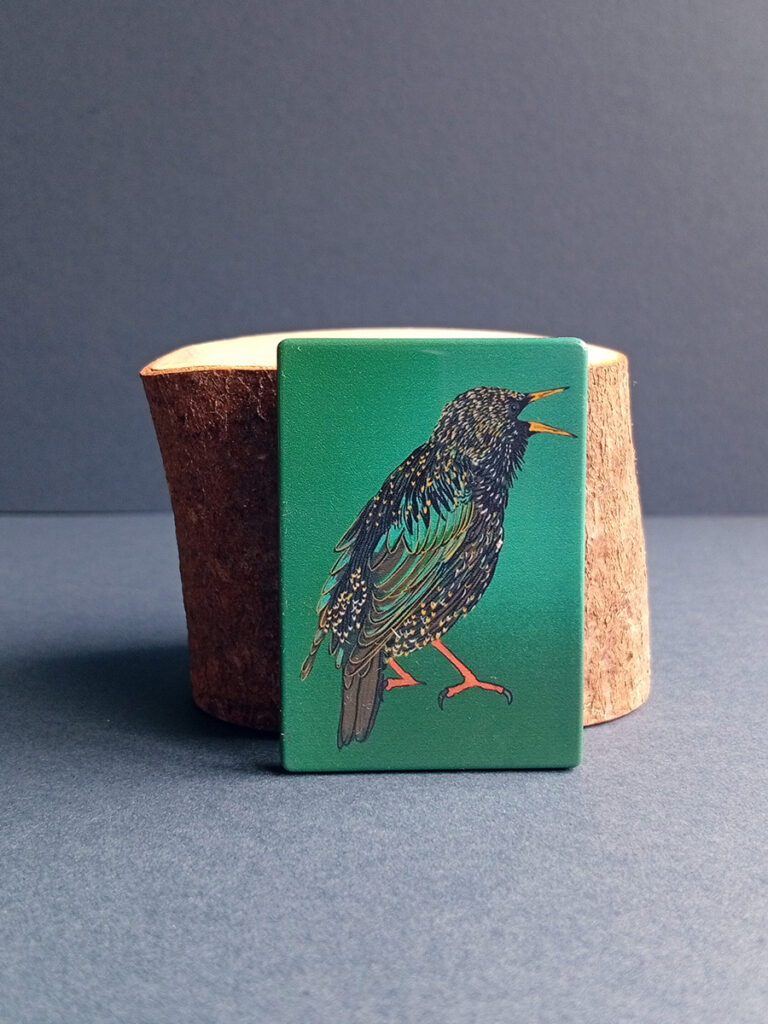 Rectangular illustrated starling magnet made from recycled plastic.