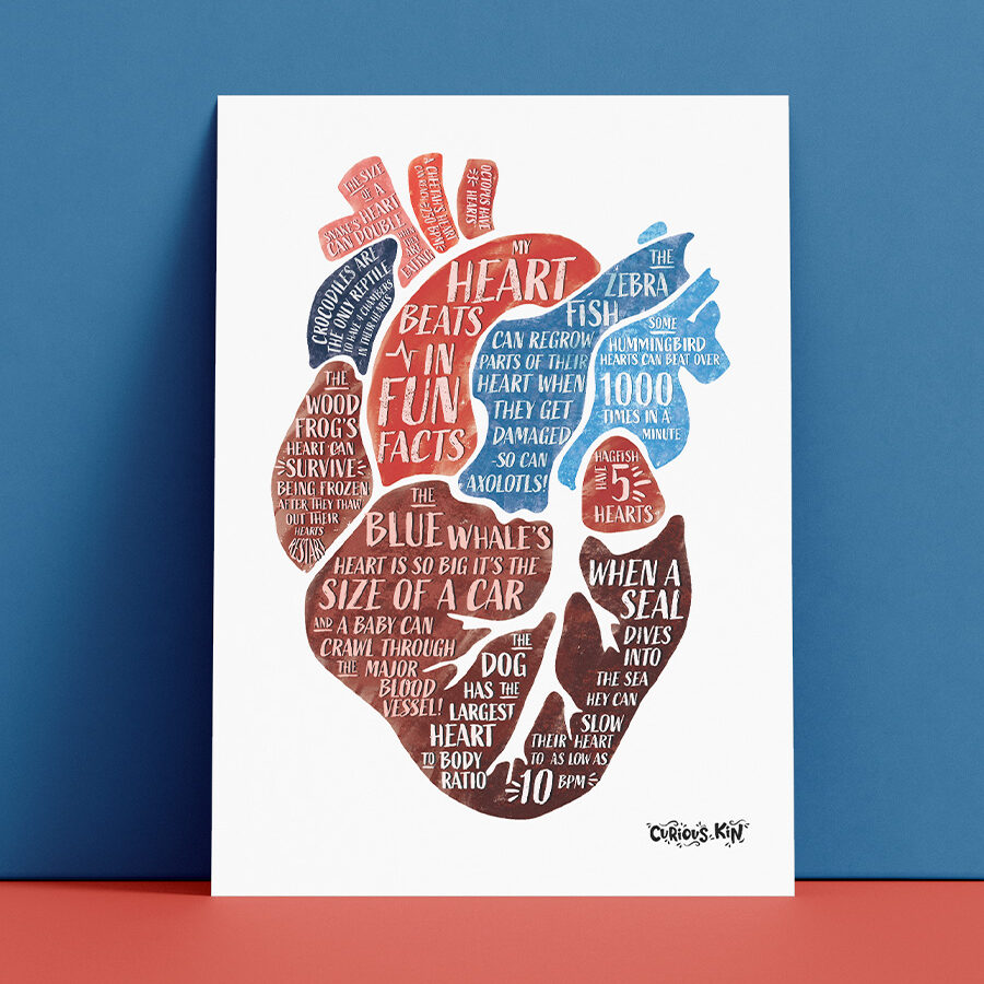 my heart beats in fun facts a5 print and envelope by curious kin