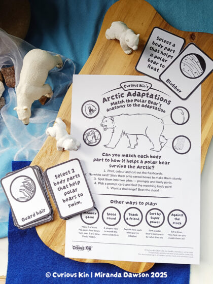 Polar Bears: Arctic Adaptations: A Matching Game | Print at home