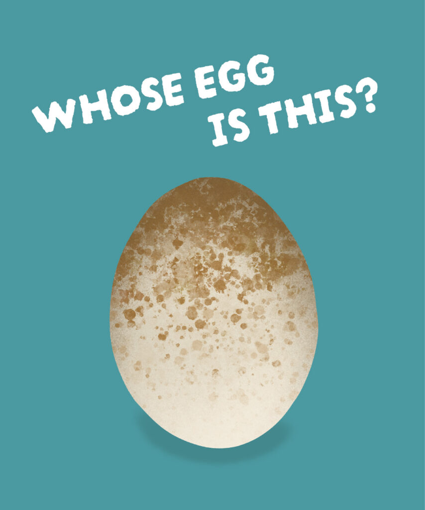 A creamy coloured hard shell egg that is oval in shape with orange/rusty red speckling. The appearance and size can vary a lot of this. Above the egg is the title 'Whose egg is this?'