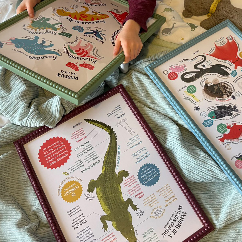 Childs hands holding a frame with dinosaur fun fact prints. 2 other frames scattered on the bed with crocodile and sea creature fun fact posters inside.