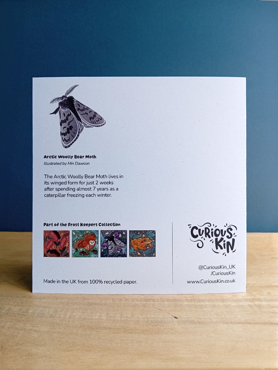 Back of square arctic woolly bear moth card, with mini fun fact and images of the rest of frost keeper collection