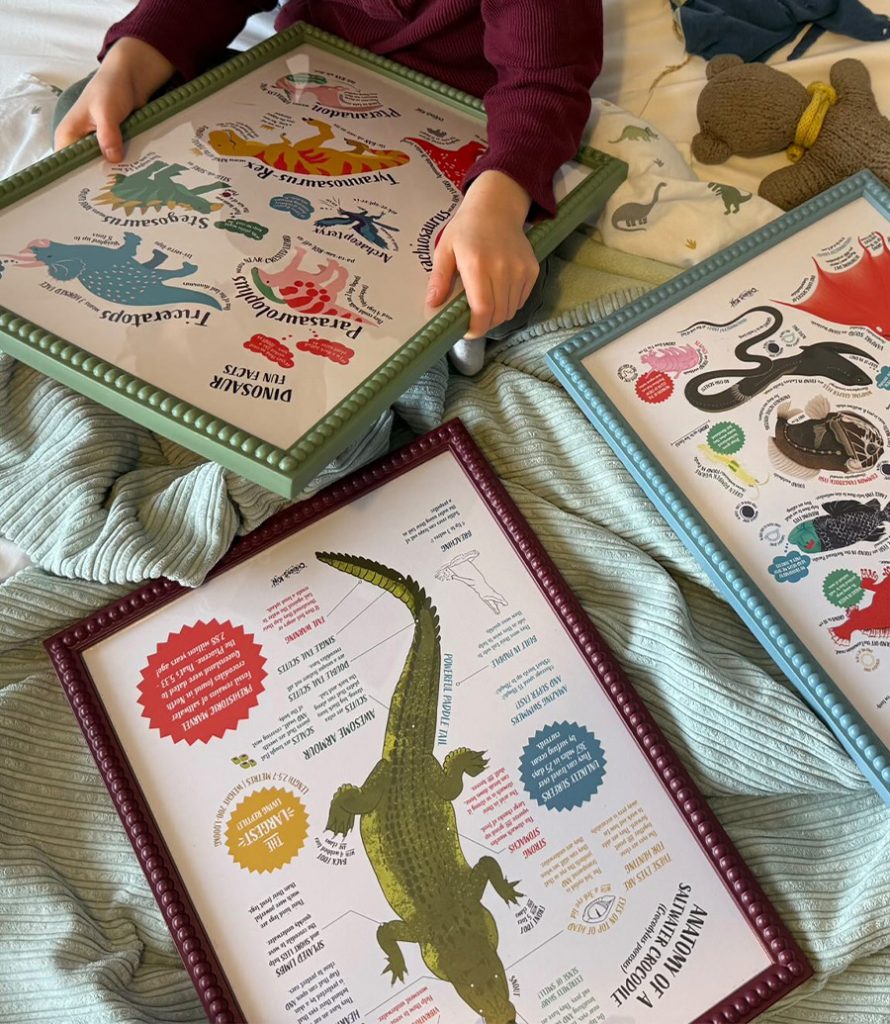 Child holding and looking at fun facts posters, framed lying on bed.