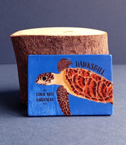 Hawksbill sea turtle magnet