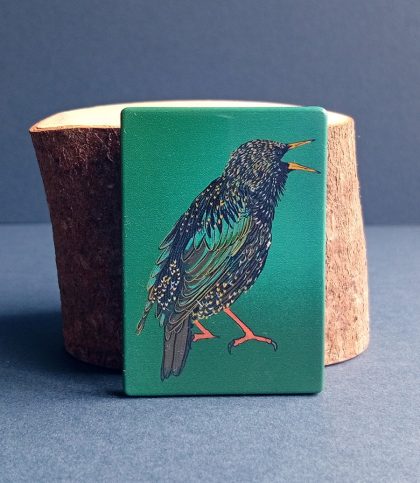 Common starling magnet